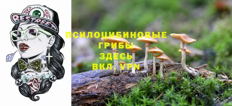 Галлюциногенные грибы MAGIC MUSHROOMS  купить  сайты  Белоозёрский 